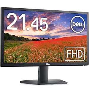 Moniter Dell